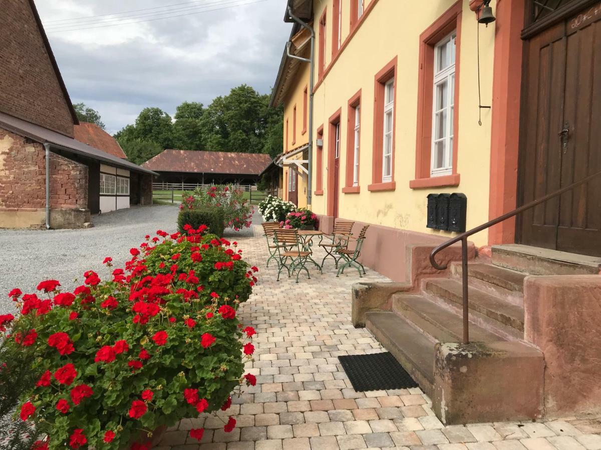 Elegantes Gaesteapartment Verano In Schloss Und Hofgut Langenzell Wiesenbach ภายนอก รูปภาพ